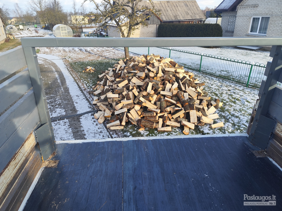 Malkos. Įvairių rūšių / Artūras / Darbų pavyzdys ID 3785606
